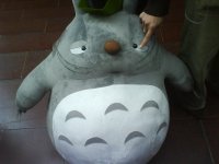 DSC00091.JPG